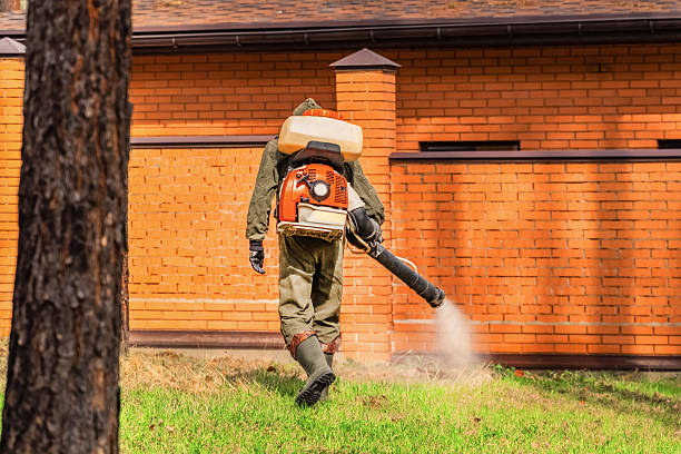 Trusted Termite Control service in Artesia, CA - Nex Pest Control
